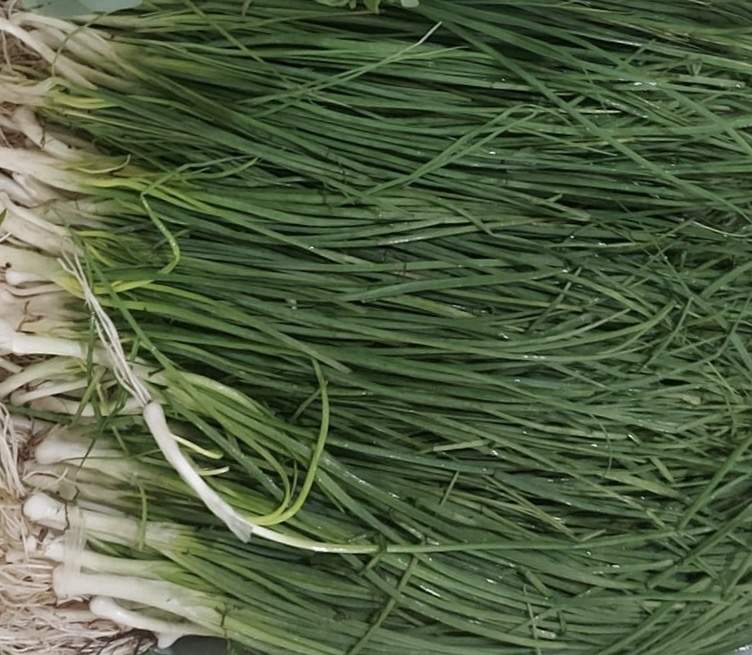 Vũ điệu của ném | Vietstock