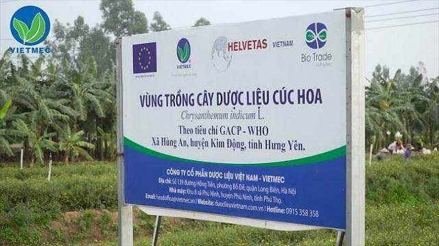DVM nói gì trước thông tin bị thu hồi giấy chứng nhận đủ điều kiện kinh doanh?