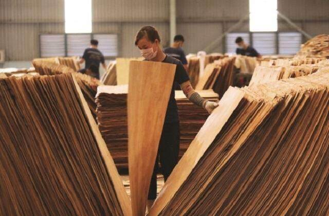 Gỗ Thuận An bị phạt và truy thu thuế hơn 134 triệu đồng Gỗ Thuận An bị phạt và truy thu thuế hơn 134 triệu đồng