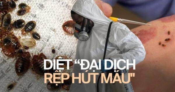 Nửa đêm khách gọi đòi nhân viên đến diệt rệp, một dịch vụ lên tới chục triệu đồng