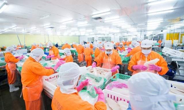 ANV muốn phát hành hơn 133 triệu cp để tăng vốn ANV muốn phát hành hơn 133 triệu cp để tăng vốn