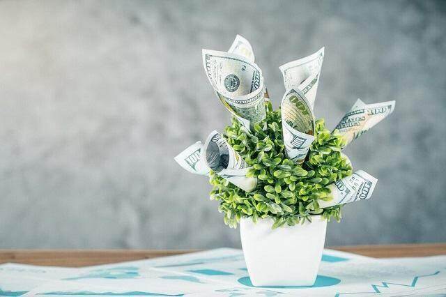 Cổ tức tuần đầu tiên của năm 2024: Cao nhất 20% Cổ tức tuần đầu tiên của năm 2024: Cao nhất 20%