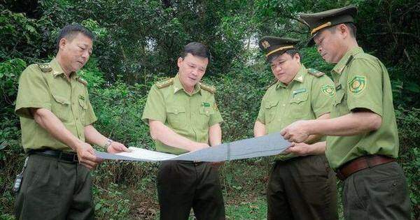 Công tác quản lý, bảo vệ rừng có nhiều chuyển biến tích cực trong năm 2023 Công tác quản lý, bảo vệ rừng có nhiều chuyển biến tích cực trong năm 2023