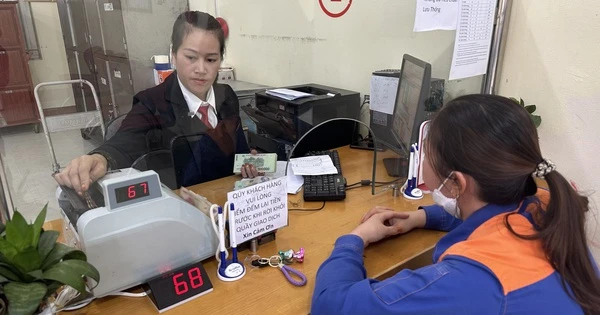 Lãi suất tiết kiệm giảm sâu Lãi suất tiết kiệm giảm sâu