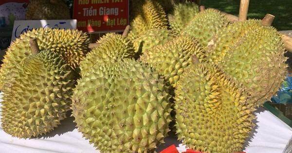 Nông nghiệp xuất siêu kỷ lục 12,07 tỉ USD, tăng trưởng cao nhất trong 10 năm qua Nông nghiệp xuất siêu kỷ lục 12,07 tỉ USD, tăng trưởng cao nhất trong 10 năm qua