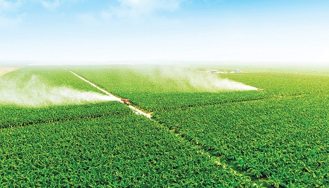 Thua lỗ triền miên, HNG đóng cửa một nhánh tại Gia Lai Thua lỗ triền miên, HNG đóng cửa một nhánh tại Gia Lai