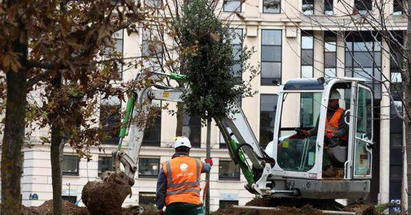Paris trồng “rừng đô thị” đầu tiên