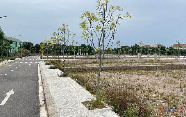 ‘Phiên chợ’ đấu giá đất 2023: Nơi rầm rộ chốt lô, nơi ế ẩm bỏ cọc tiền tỷ ‘Phiên chợ’ đấu giá đất 2023: Nơi rầm rộ chốt lô, nơi ế ẩm bỏ cọc tiền tỷ