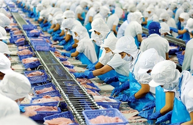 Doanh thu tháng 1 của Vĩnh Hoàn gấp đôi cùng kỳ