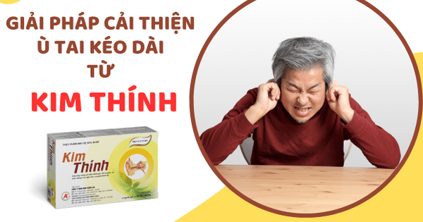 Giải pháp cải thiện ù tai kéo dài nhiều năm từ thảo dược Kim Thính Giải pháp cải thiện ù tai kéo dài nhiều năm từ thảo dược Kim Thính