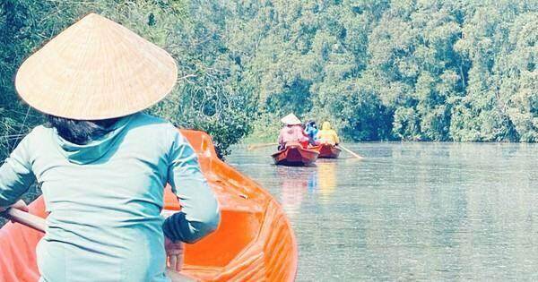 Mùa xuân mới trên Điểm tham quan Khu bảo tồn Đồng Tháp Mười
