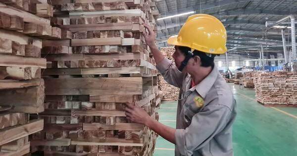 Xuất khẩu gỗ sang Mỹ tăng vọt hơn 120% có bất ngờ? Xuất khẩu gỗ sang Mỹ tăng vọt hơn 120% có bất ngờ?