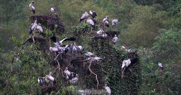 in điểm du lịch “mới toanh”