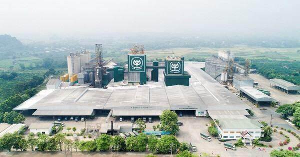 C.P Việt Nam đạt Doanh nghiệp hàng Việt Nam chất lượng cao 2024