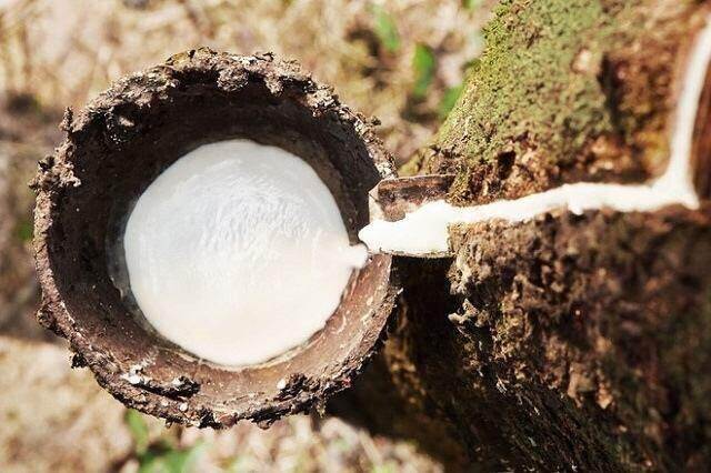 DRI sẽ chia thêm cổ tức 2023 bằng tiền, kế hoạch lãi sau thuế 2024 giảm 18% DRI sẽ chia thêm cổ tức 2023 bằng tiền, kế hoạch lãi sau thuế 2024 giảm 18%