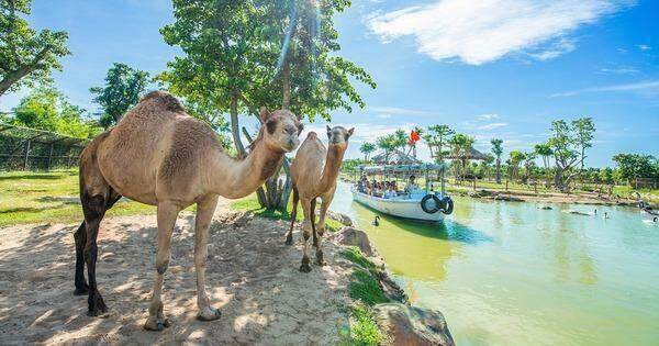 Sự sống hồi sinh ở River Safari Nam Hội An Sự sống hồi sinh ở River Safari Nam Hội An