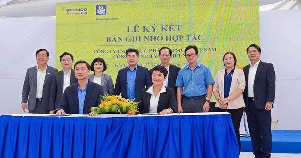 Yara Việt Nam hợp tác cùng Pepsico Foods Việt Nam vì nền nông nghiệp phát triển bền vững Yara Việt Nam hợp tác cùng Pepsico Foods Việt Nam vì nền nông nghiệp phát triển bền vững