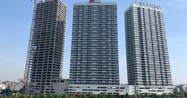 Lợi nhuận doanh nghiệp của Shark Việt lao dốc Lợi nhuận doanh nghiệp của Shark Việt lao dốc
