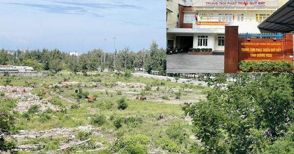 Nguồn thu tiền đấu giá sử dụng đất năm 2024 cho ngân sách Quảng Ngãi dự kiến giảm “sốc”