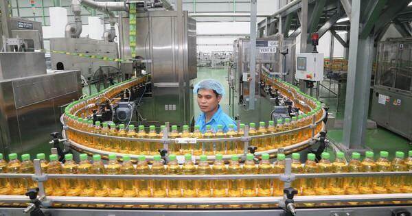 Tăng cường hợp tác quốc tế để đưa sản phẩm mang ‘hộ chiếu Việt’ ra thế giới Tăng cường hợp tác quốc tế để đưa sản phẩm mang ‘hộ chiếu Việt’ ra thế giới