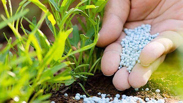 Chính phủ yêu cầu Bộ Tài chính hoàn thiện Luật Thuế giá trị gia tăng, thêm 12 loại hàng chịu thuế Chính phủ yêu cầu Bộ Tài chính hoàn thiện Luật Thuế giá trị gia tăng, thêm 12 loại hàng chịu thuế