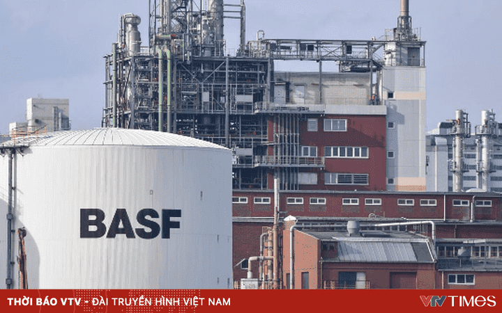 Công ty hóa chất BASF chia cổ tức 3,40 Euro cho năm 2023 Công ty hóa chất BASF chia cổ tức 3,40 Euro cho năm 2023