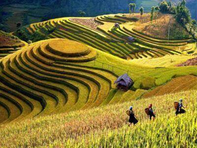 Hướng tới mục tiêu phát triển kinh tế xanh, kinh tế bền vững tại vùng trung du và miền núi phía Bắc đến năm 2030 Hướng tới mục tiêu phát triển kinh tế xanh, kinh tế bền vững tại vùng trung du và miền núi phía Bắc đến năm 2030