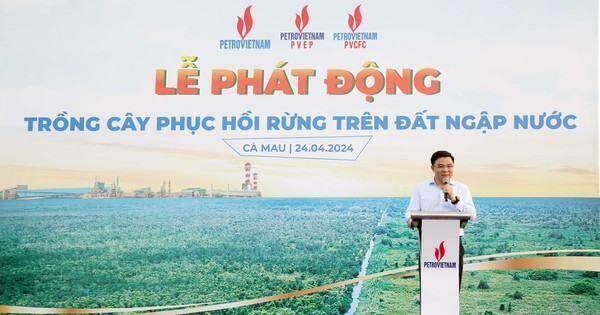 Petrovietnam phát động trồng cây phục hồi rừng trên đất ngập nước Petrovietnam phát động trồng cây phục hồi rừng trên đất ngập nước