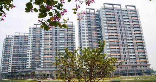 Tưởng rằng khách hàng không có tiền khi thị trường khó khăn nhưng chuyện “bất ngờ” đã xảy ra với phân khúc căn hộ trung cấp Tưởng rằng khách hàng không có tiền khi thị trường khó khăn nhưng chuyện “bất ngờ” đã xảy ra với phân khúc căn hộ trung cấp