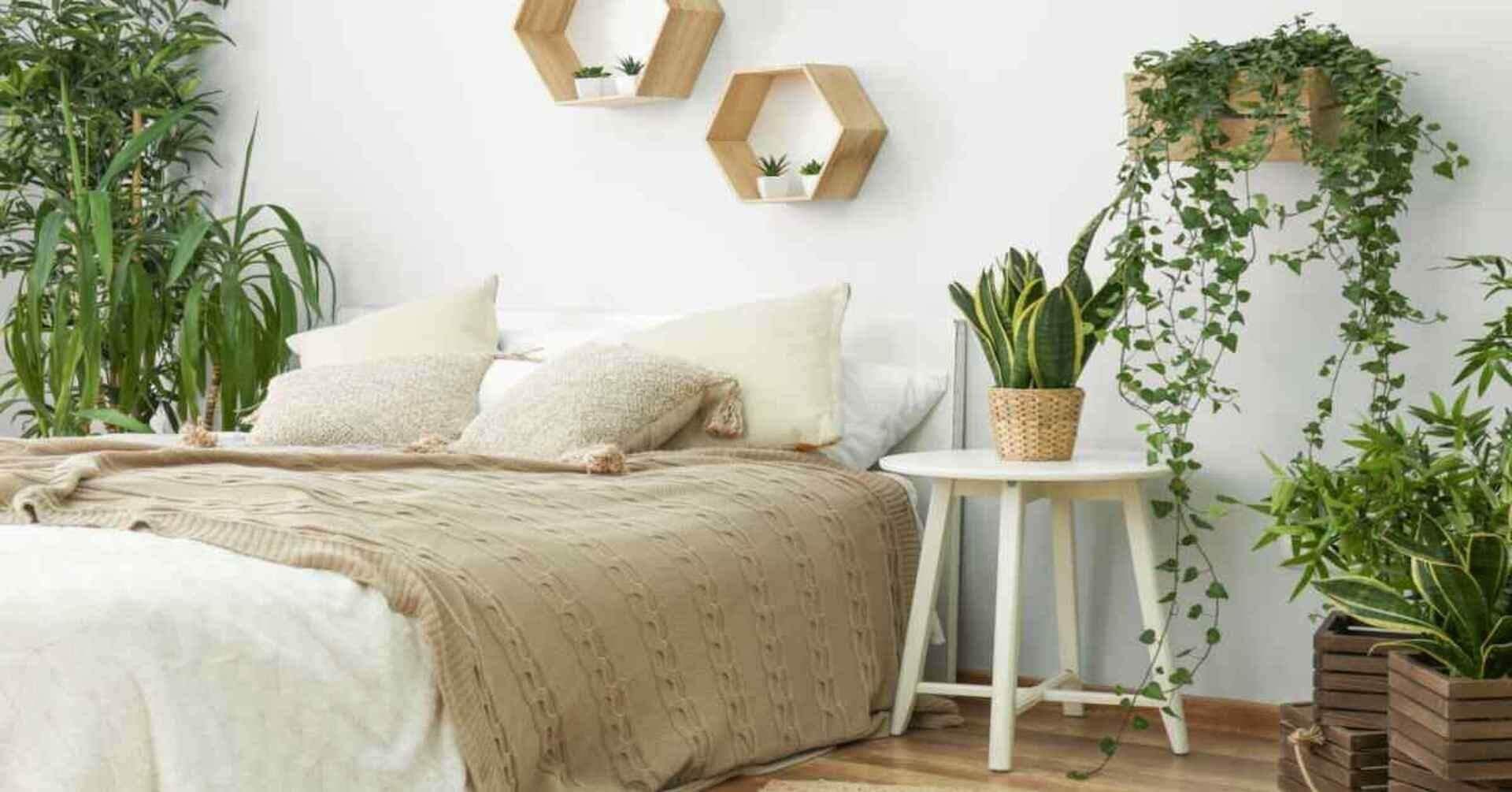 3 vị trí quen thuộc trong nhà không nên đặt cây xanh 
