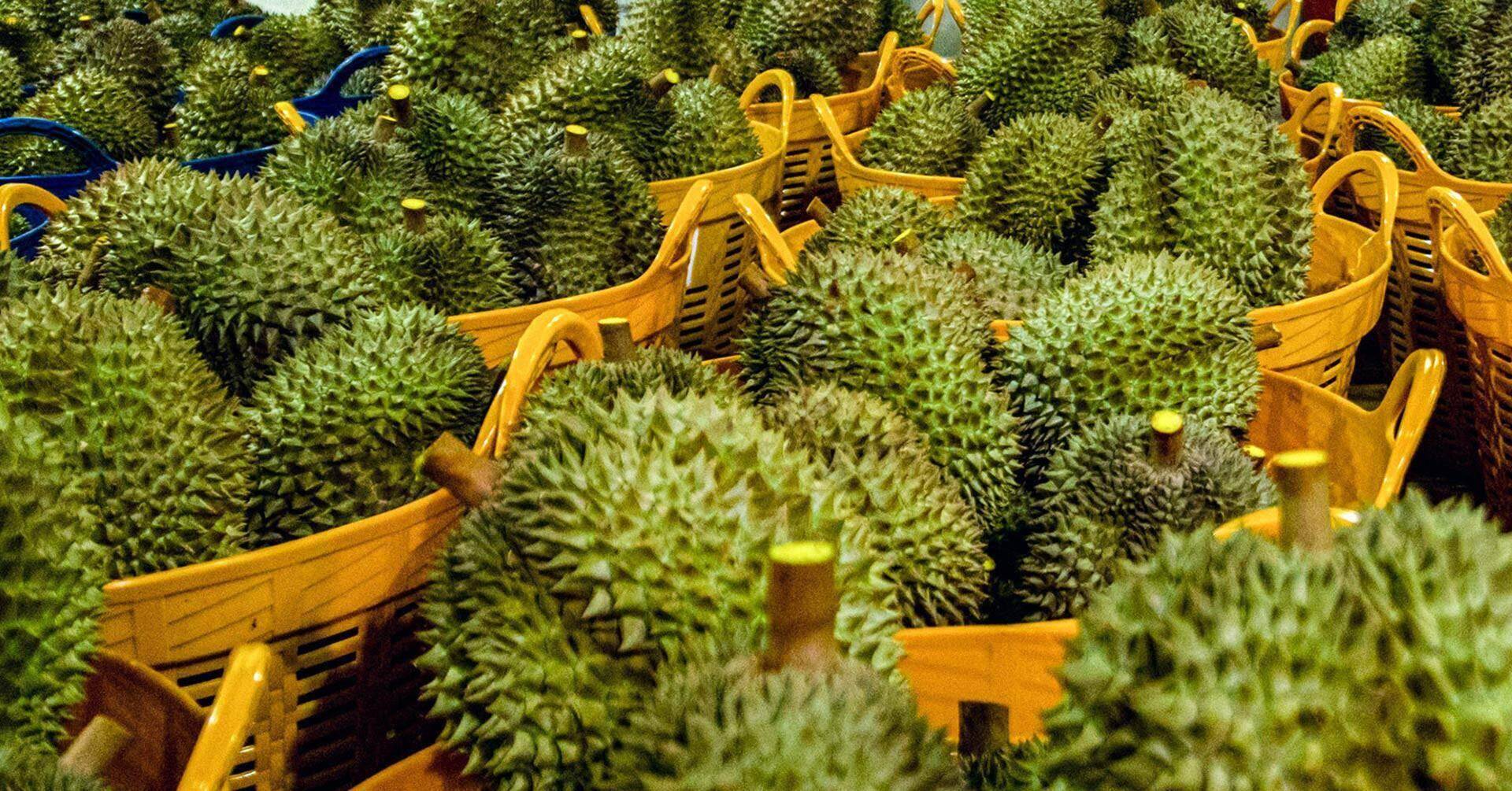 Bất ngờ giá sầu riêng chỉ 70.000 đồng/kg, táo Mỹ hơn 40.000 đồng/kg Bất ngờ giá sầu riêng chỉ 70.000 đồng/kg, táo Mỹ hơn 40.000 đồng/kg