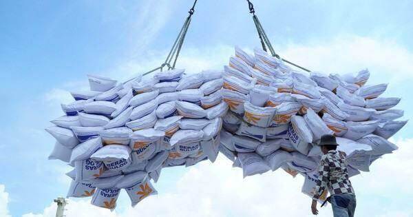 Cục Xuất Nhập khẩu yêu cầu VFA báo cáo vụ gạo “bỏ thầu giá thấp” Cục Xuất Nhập khẩu yêu cầu VFA báo cáo vụ gạo “bỏ thầu giá thấp”