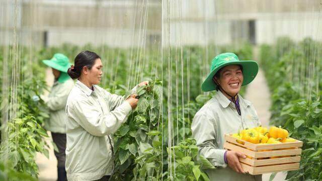 Nông trường WinEco, nơi “gieo trồng” những nụ cười hạnh phúc