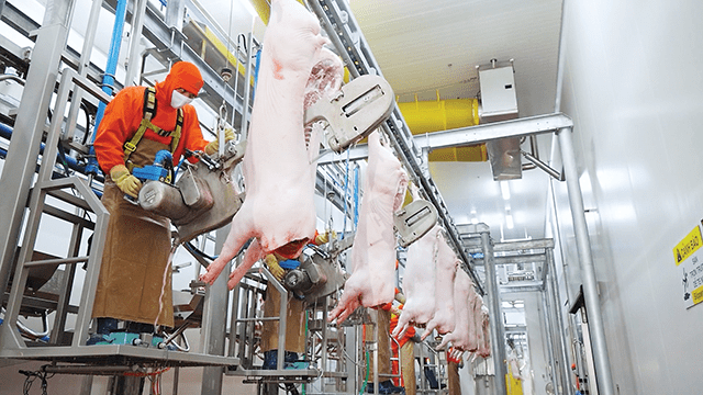 Phải xử lý triệt để, xóa bỏ lò giết mổ thủ công Phải xử lý triệt để, xóa bỏ lò giết mổ thủ công