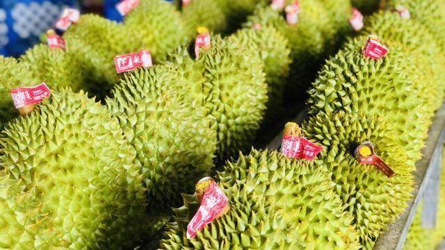 Việt Nam có thể vượt Malaysia, trở thành đối tác xuất khẩu lớn nhất sang Trung Quốc trong khối ASEAN Việt Nam có thể vượt Malaysia, trở thành đối tác xuất khẩu lớn nhất sang Trung Quốc trong khối ASEAN