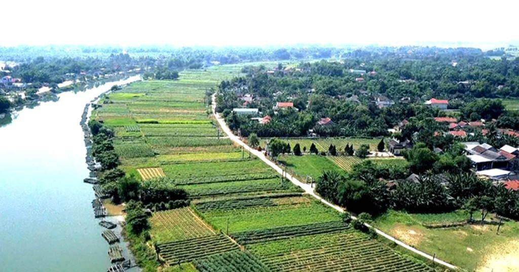Thừa Thiên Huế sắp đấu giá 173 lô đất, khởi điểm từ hơn 374 triệu đồng Thừa Thiên Huế sắp đấu giá 173 lô đất, khởi điểm từ hơn 374 triệu đồng
