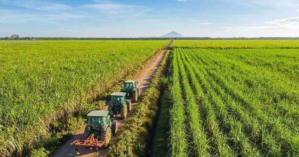 “Công chúa mía đường” muốn bán 70 triệu cổ phiếu SBT