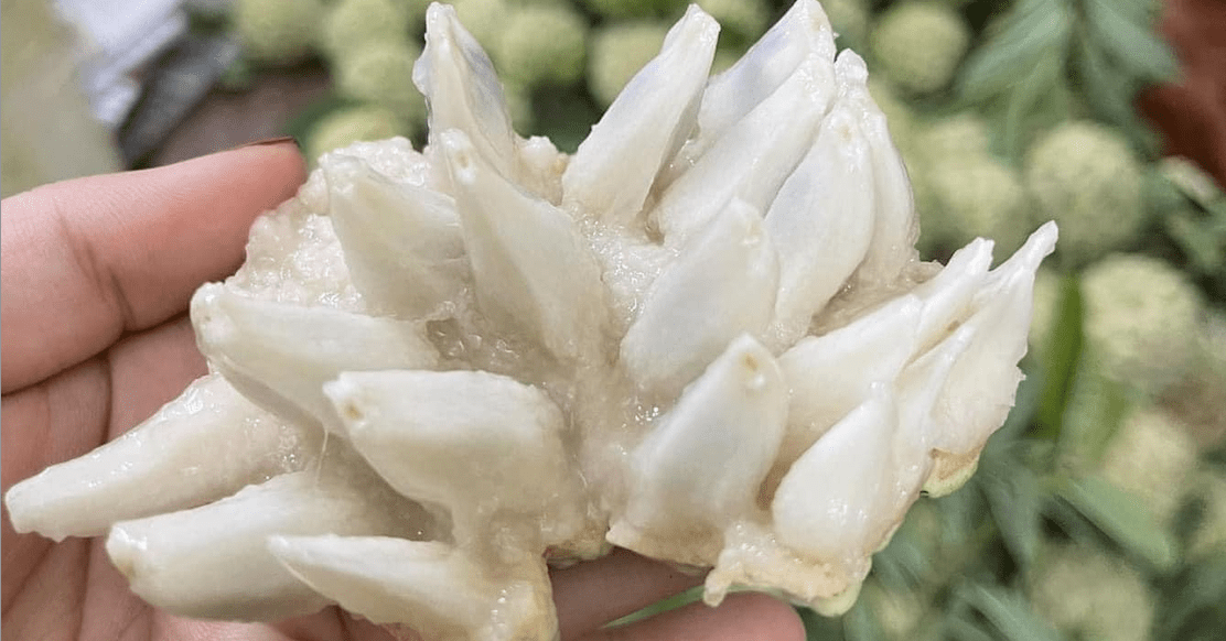 Đắt hơn sầu riêng, loại quả ‘mở mắt’ đưa về phố bán 250 nghìn/kg Đắt hơn sầu riêng, loại quả ‘mở mắt’ đưa về phố bán 250 nghìn/kg