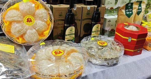 Ngành yến sào còn xa giấc mơ “tỉ USD” Ngành yến sào còn xa giấc mơ “tỉ USD”