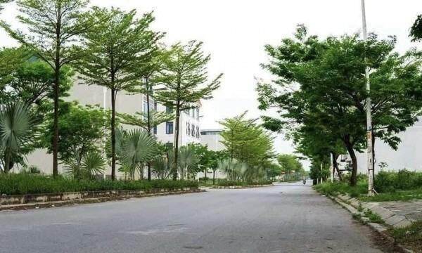Thẩm quyền của Bộ Xây dựng về định mức lĩnh vực cây xanh, chiếu sáng Thẩm quyền của Bộ Xây dựng về định mức lĩnh vực cây xanh, chiếu sáng