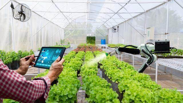 Thúc đẩy nghiên cứu, chuyển giao khoa học công nghệ vào sản xuất nông nghiệp