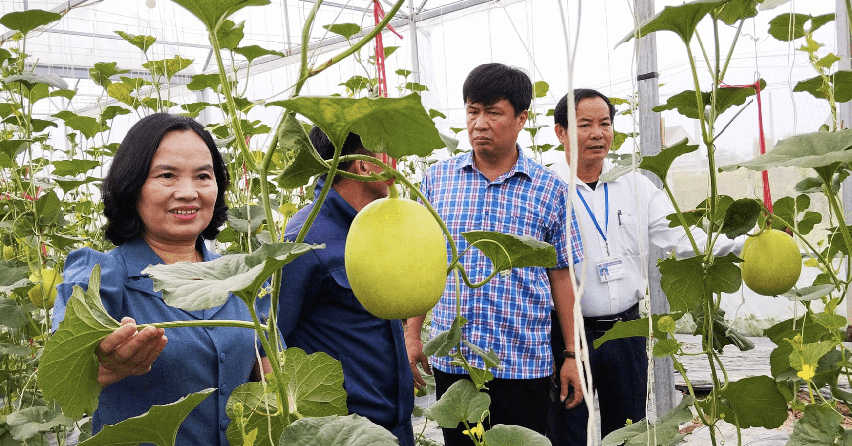 3 ‘chiêu’ để hạn chế doanh nghiệp ‘bẻ kèo’, nông dân chạy làng 3 ‘chiêu’ để hạn chế doanh nghiệp ‘bẻ kèo’, nông dân chạy làng