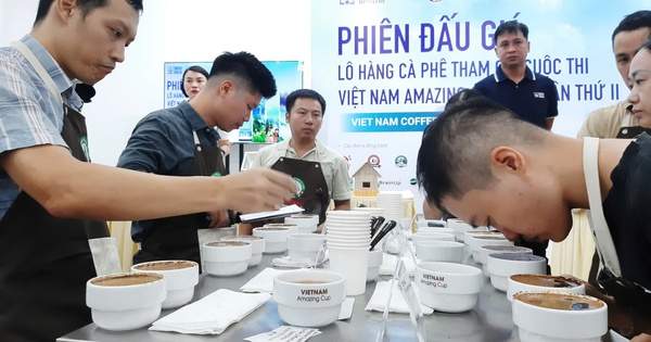 Cà phê đặc sản “ngon nhất Việt Nam” được chốt giá 1,2 triệu đồng/kg