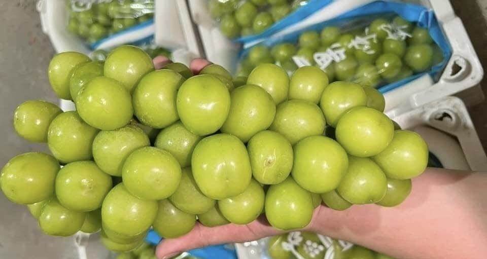 Chỉ vài năm, Trung Quốc đã biến loại quả ‘quý tộc’ thành hàng giá bèo