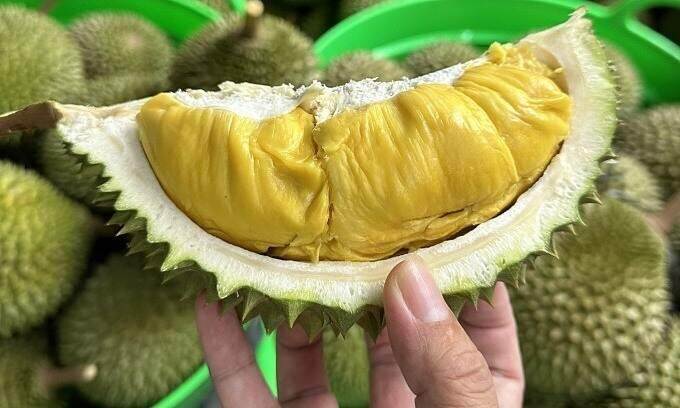 Durian exports hit .7B in 7 months