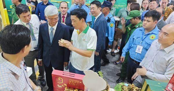 Khởi nghiệp với sâm Ngọc Linh
