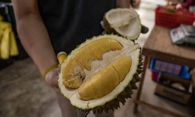 Malaysian Musang King durians fetch premium rate in China