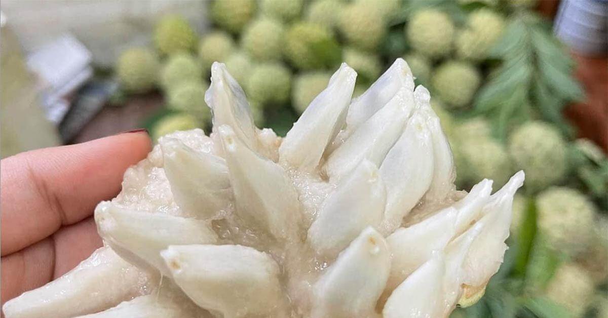 Na Việt Nam giá 250 nghìn/kg, nho Trung Quốc chỉ từ 20 nghìn đồng/kg