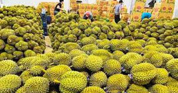 Xuất nhập khẩu rau quả tăng mạnh