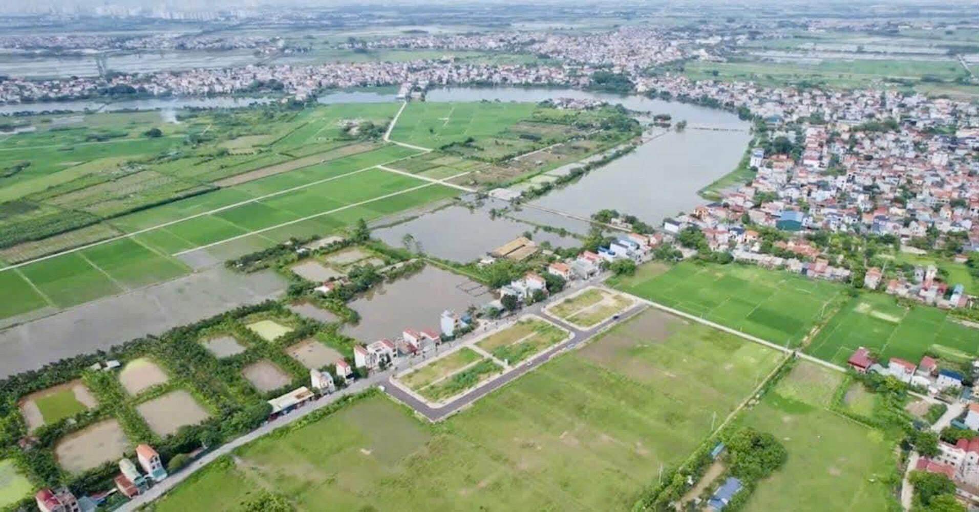 Giá thị trường hay bị ‘thổi’?
